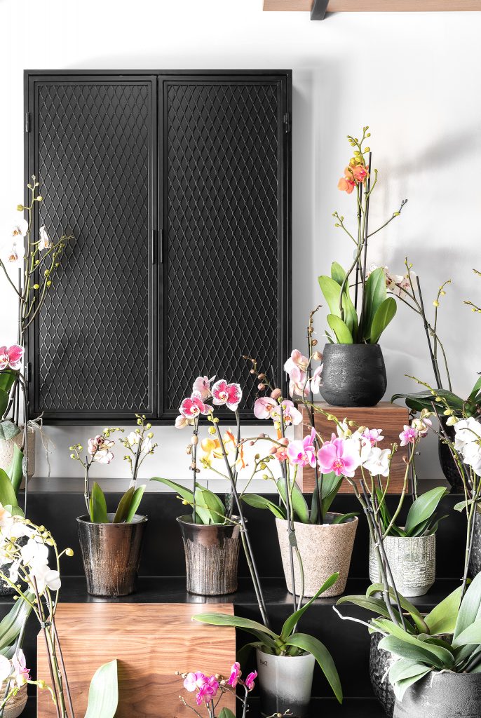 Diflora Flowers Shop | פרויקט עיצוב פנים - עיצוב פנים סטודיו 73