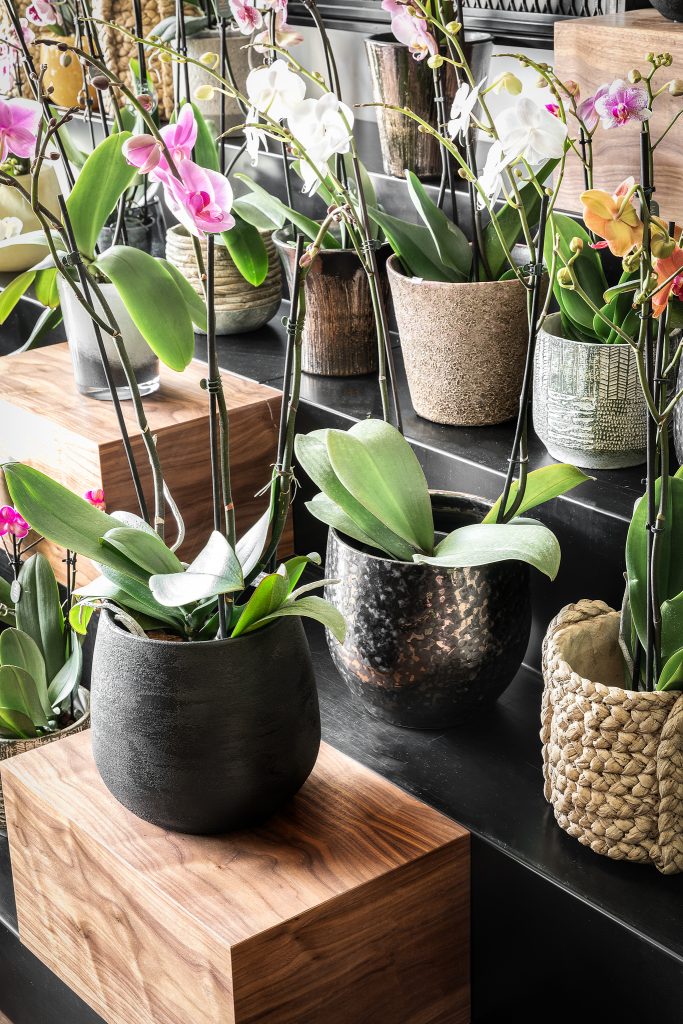 Diflora Flowers Shop | פרויקט עיצוב פנים - עיצוב פנים סטודיו 73